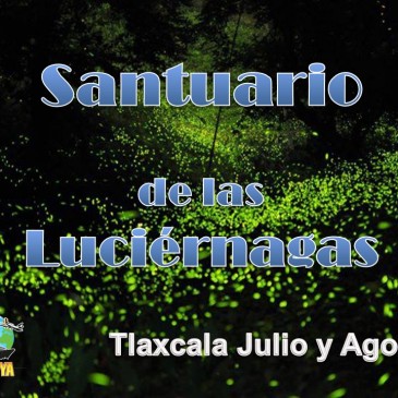 Ya hay Santuario de Luciérnagas en Puebla
